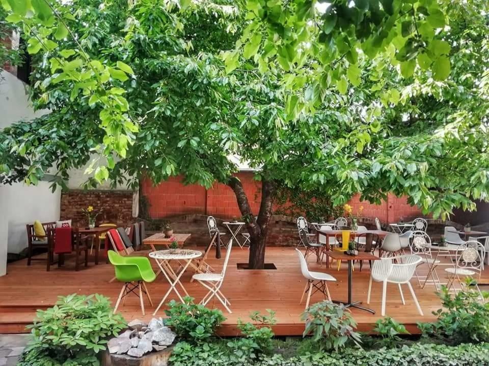 شقة Casa Miron Unirii 2 تيميشورا المظهر الخارجي الصورة